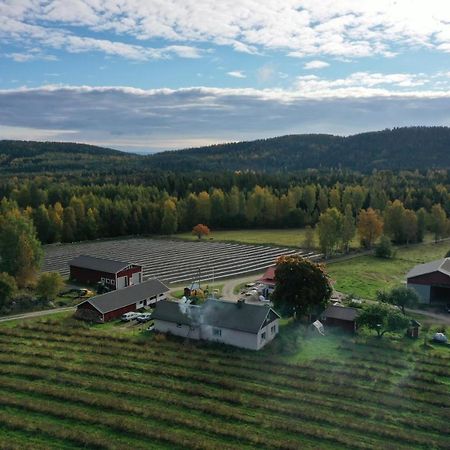 Maatilamatkailu Jaenisvaara Kolinkylä Dış mekan fotoğraf
