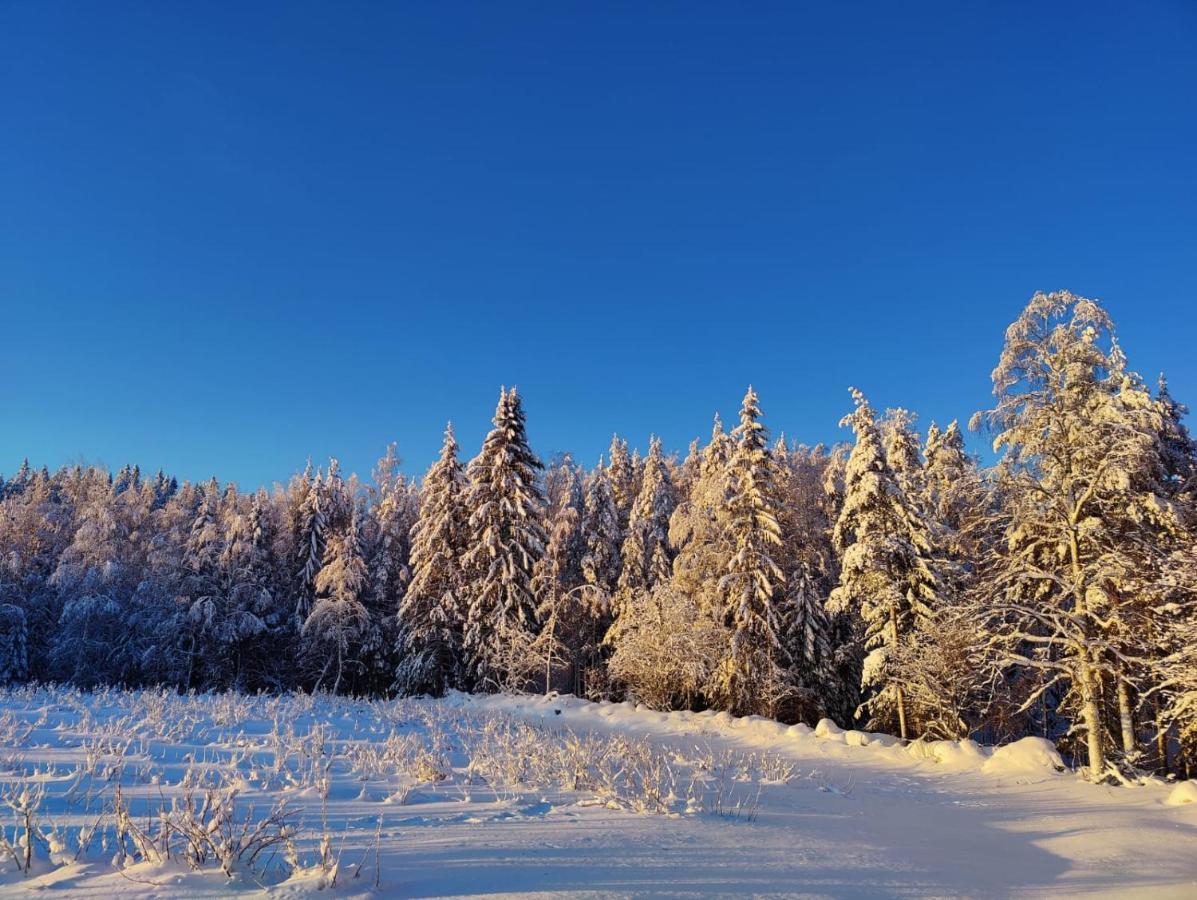 Maatilamatkailu Jaenisvaara Kolinkylä Dış mekan fotoğraf