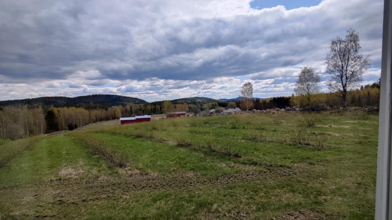 Maatilamatkailu Jaenisvaara Kolinkylä Dış mekan fotoğraf