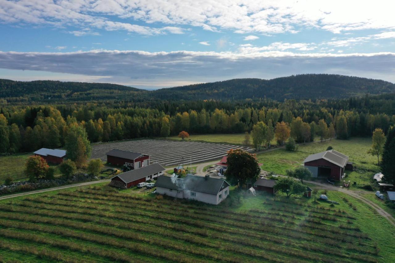 Maatilamatkailu Jaenisvaara Kolinkylä Dış mekan fotoğraf
