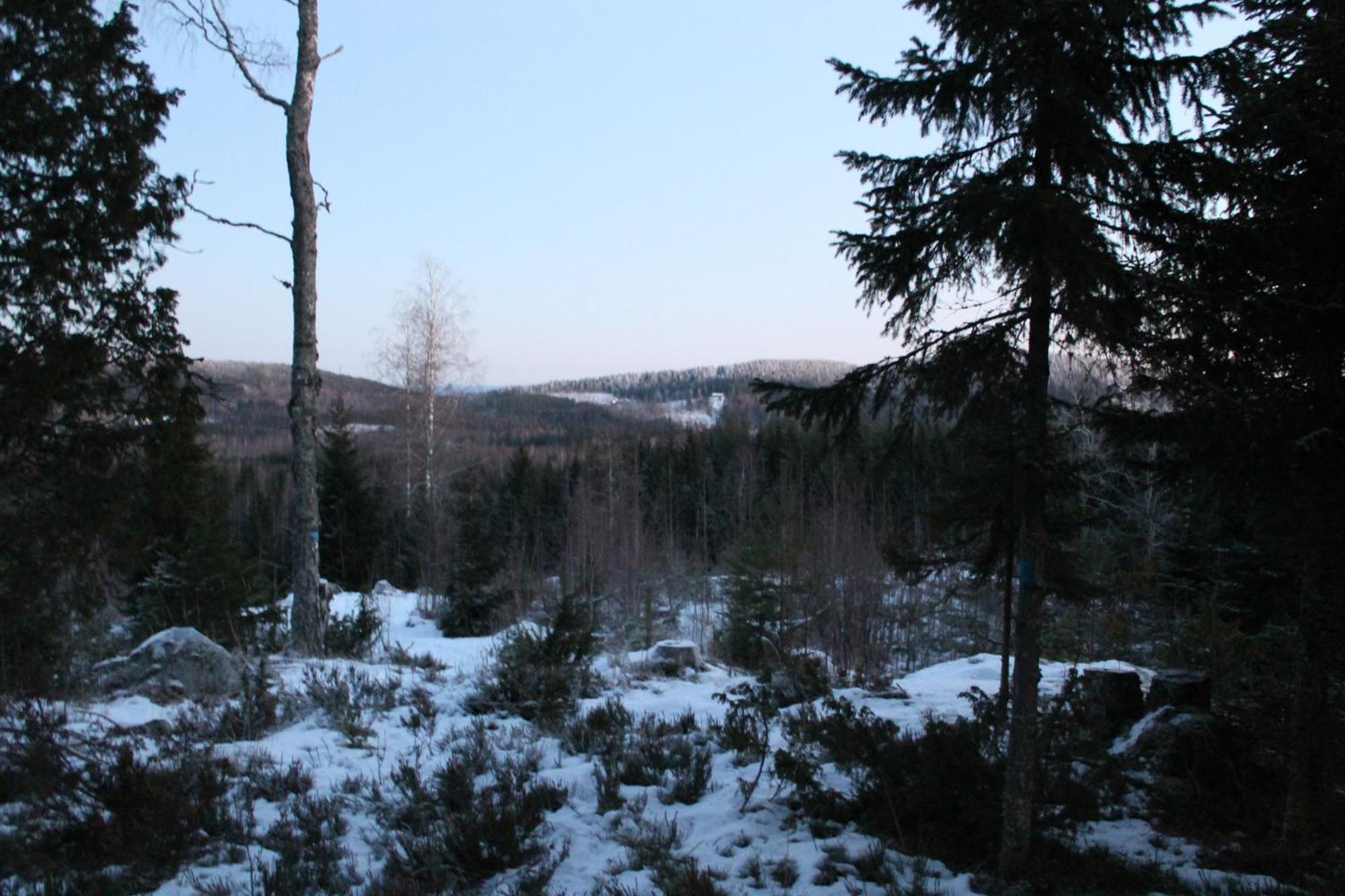 Maatilamatkailu Jaenisvaara Kolinkylä Oda fotoğraf