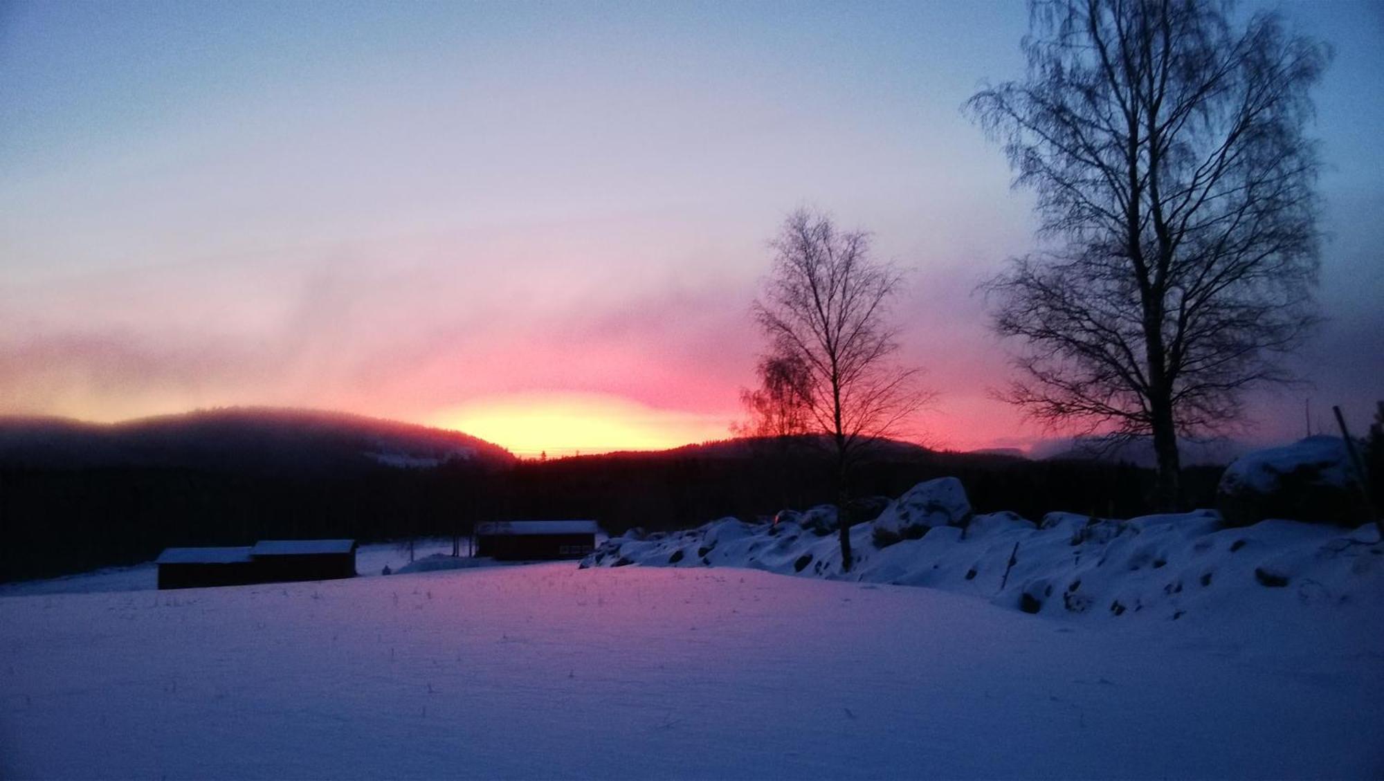 Maatilamatkailu Jaenisvaara Kolinkylä Oda fotoğraf
