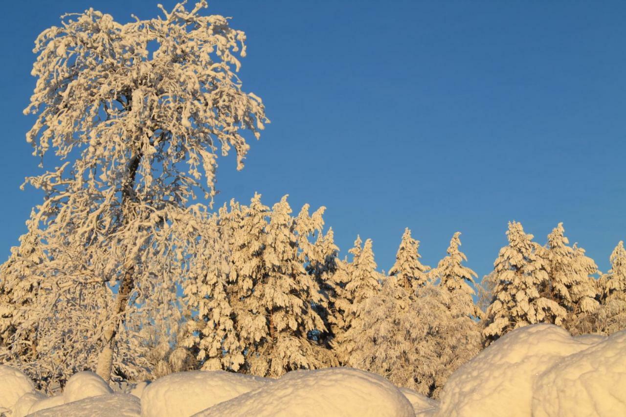 Maatilamatkailu Jaenisvaara Kolinkylä Dış mekan fotoğraf