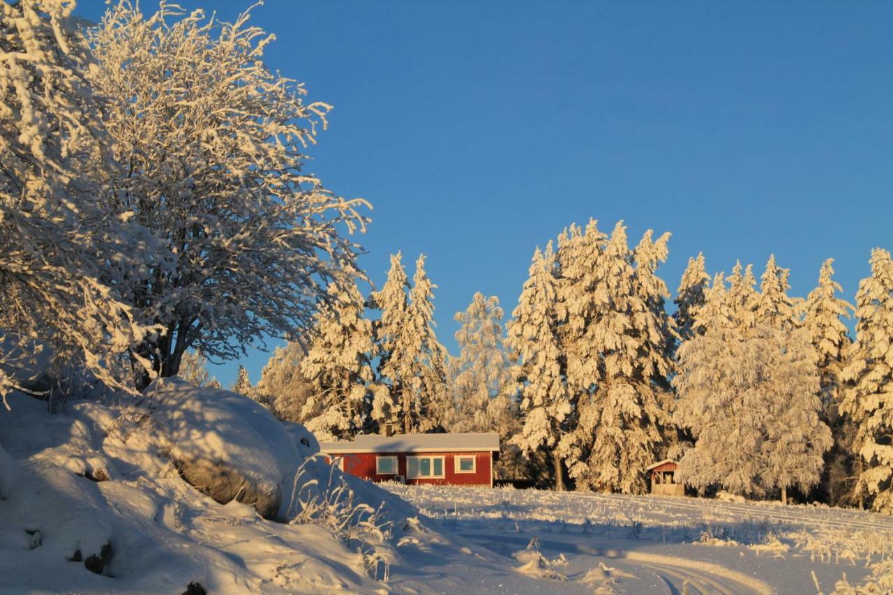 Maatilamatkailu Jaenisvaara Kolinkylä Dış mekan fotoğraf