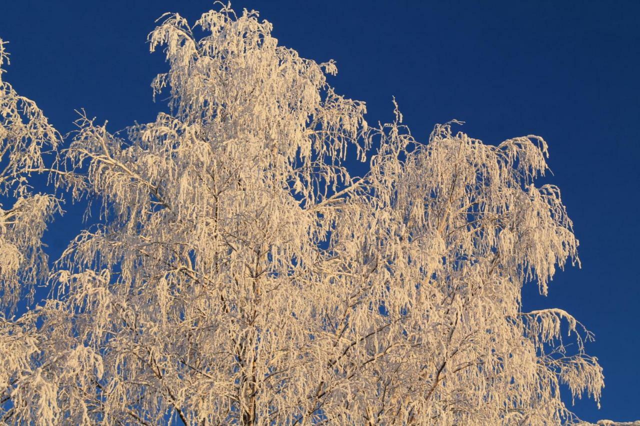 Maatilamatkailu Jaenisvaara Kolinkylä Dış mekan fotoğraf