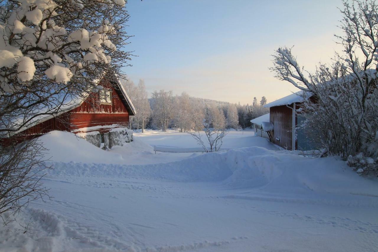 Maatilamatkailu Jaenisvaara Kolinkylä Dış mekan fotoğraf